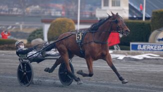 Felte storfavoritten med første på to år