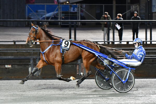Vant mesterskap, jentekveld og ny Bold Eagle
