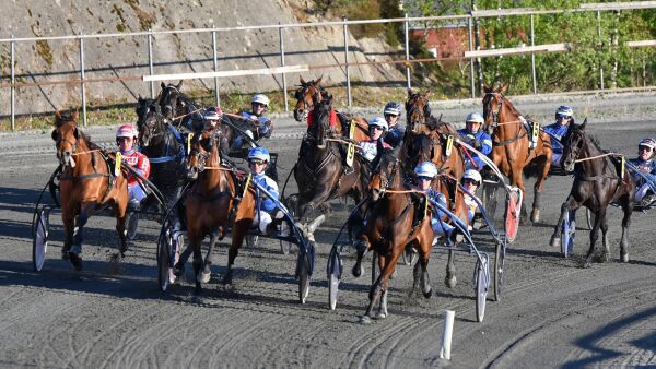 Fastholder sin publikumsplan