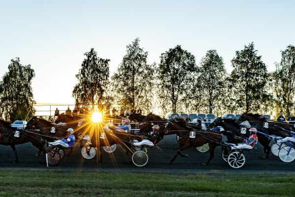 Halverer førstepremien