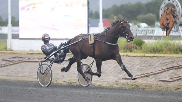 - Var på jobb på direkten