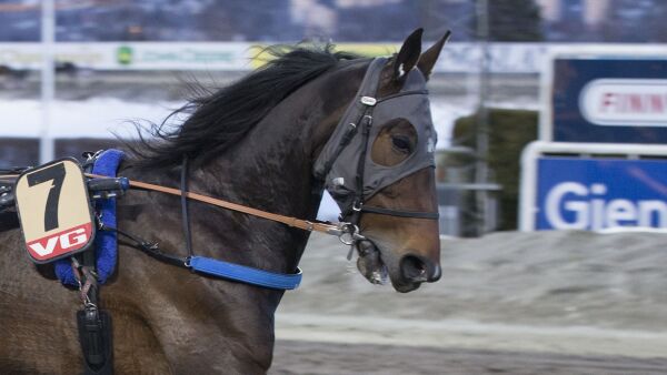 Topphoppe solgt