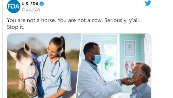 - Du er ikke en hest