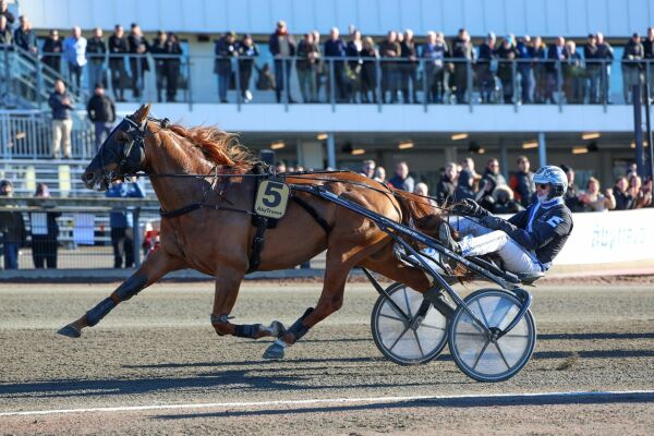 Galopp ødela alt