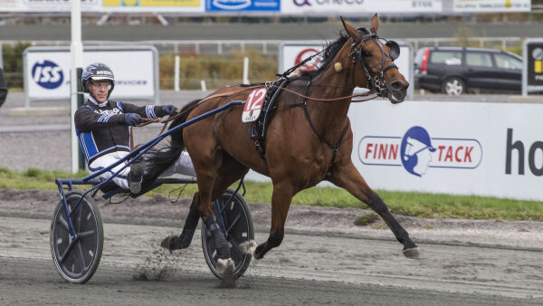 - Fortjener å få en bra hingst