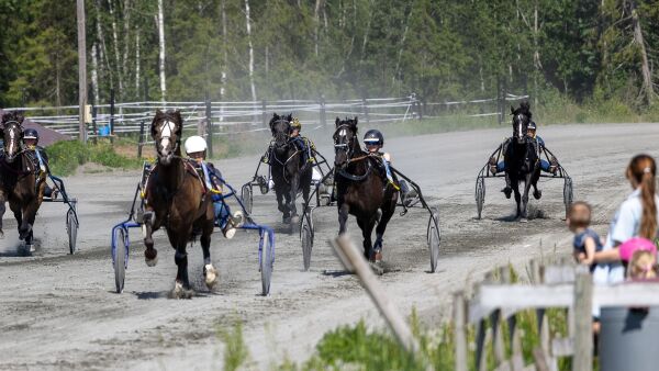Sammenslåing ga suksess