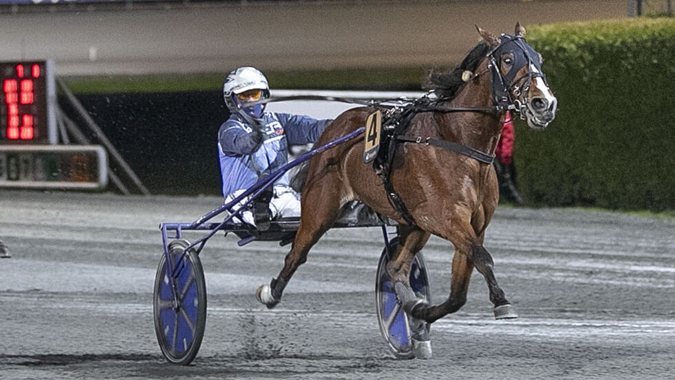 Robertson (bildet) ble millionær hos Frode Hamre. Nå er lillebroren Haaland på plass.
 Foto: hesteguiden.com