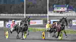 Opprør, derbyhest selges og 13 over 100.000