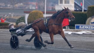 Bjerke: Felte storfavoritten med første på to år