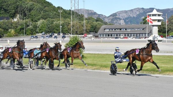 Kjører løp med tre hester