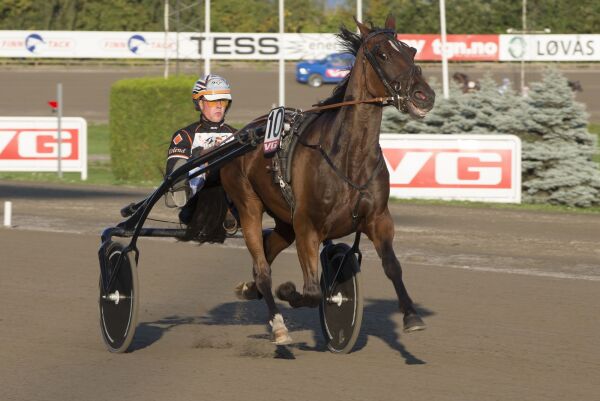 Derby-toeren alvorlig skadet