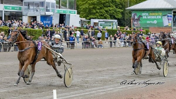 Andre til Fascination
