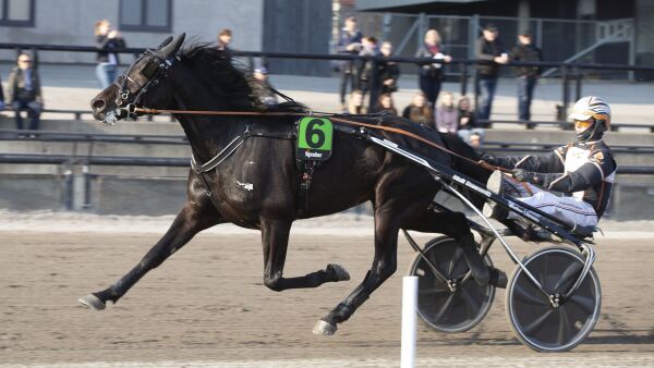 Strålende finalefelter på Bjerke