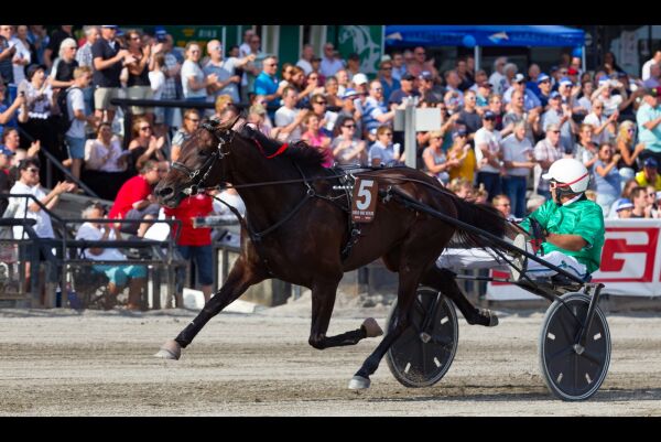 Disket OGP-vinner bytter trener