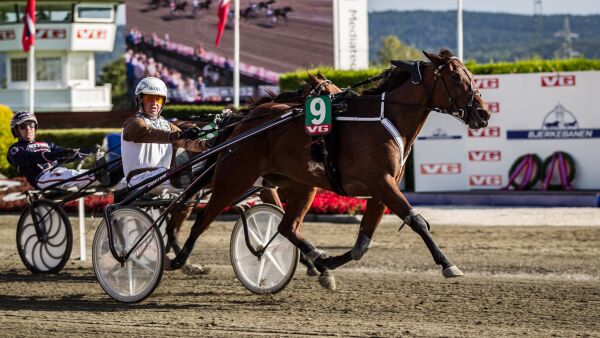 Derbyvinner ut av norsk avl