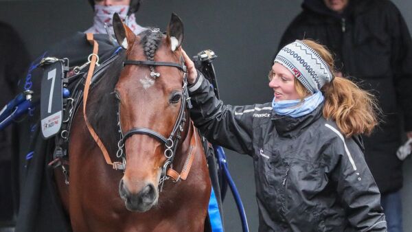 Elitloppet virker likevel usannsynlig