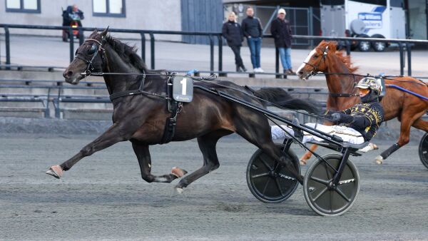 Danset unna fra tet