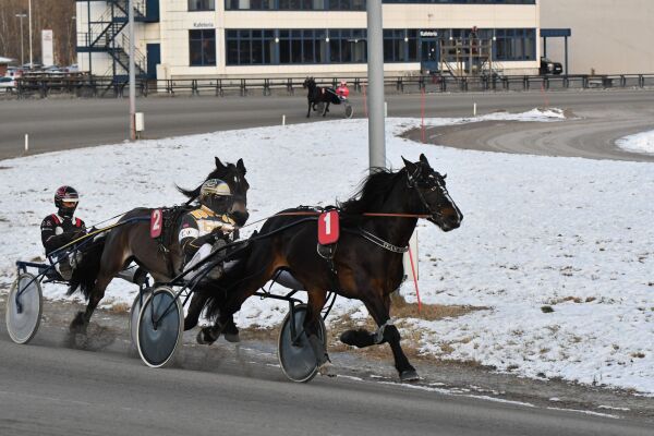 Inn i en skjebneuke