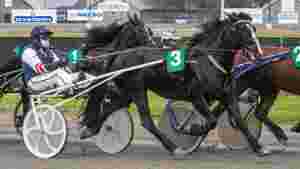 Toppet utstillingen