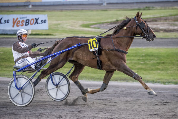 - Skal tilbake til Kolnes