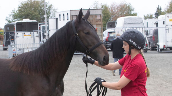 Solgte for 640.000, ropt tilbake for 450.000 og etterlyser jente