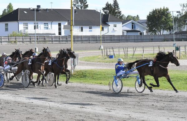 Catos speedrykk tok alle på senga