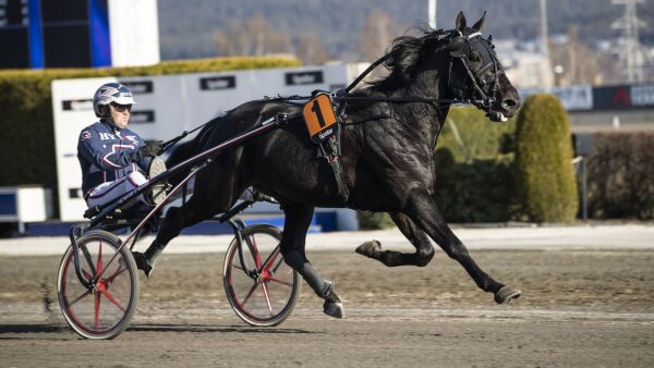 Iggy B.R. hjem til Norge