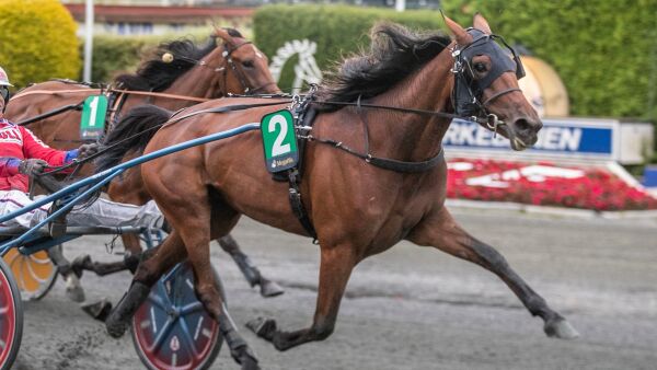 - Planen er Jarlsberg Grand Prix