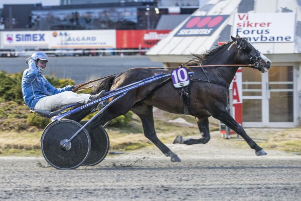 Årsdebut av Roli Eld
