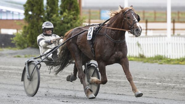 Finnskog Nox direkte rå til skrellseier