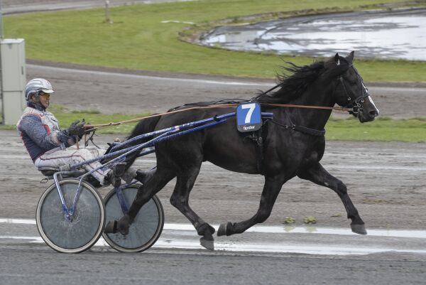 - Dette er en hest som har trengt mye tid