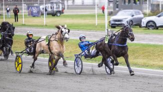 Solid nedgang i omsetningen