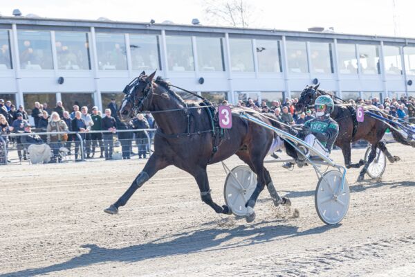 Sendes til Frankrike